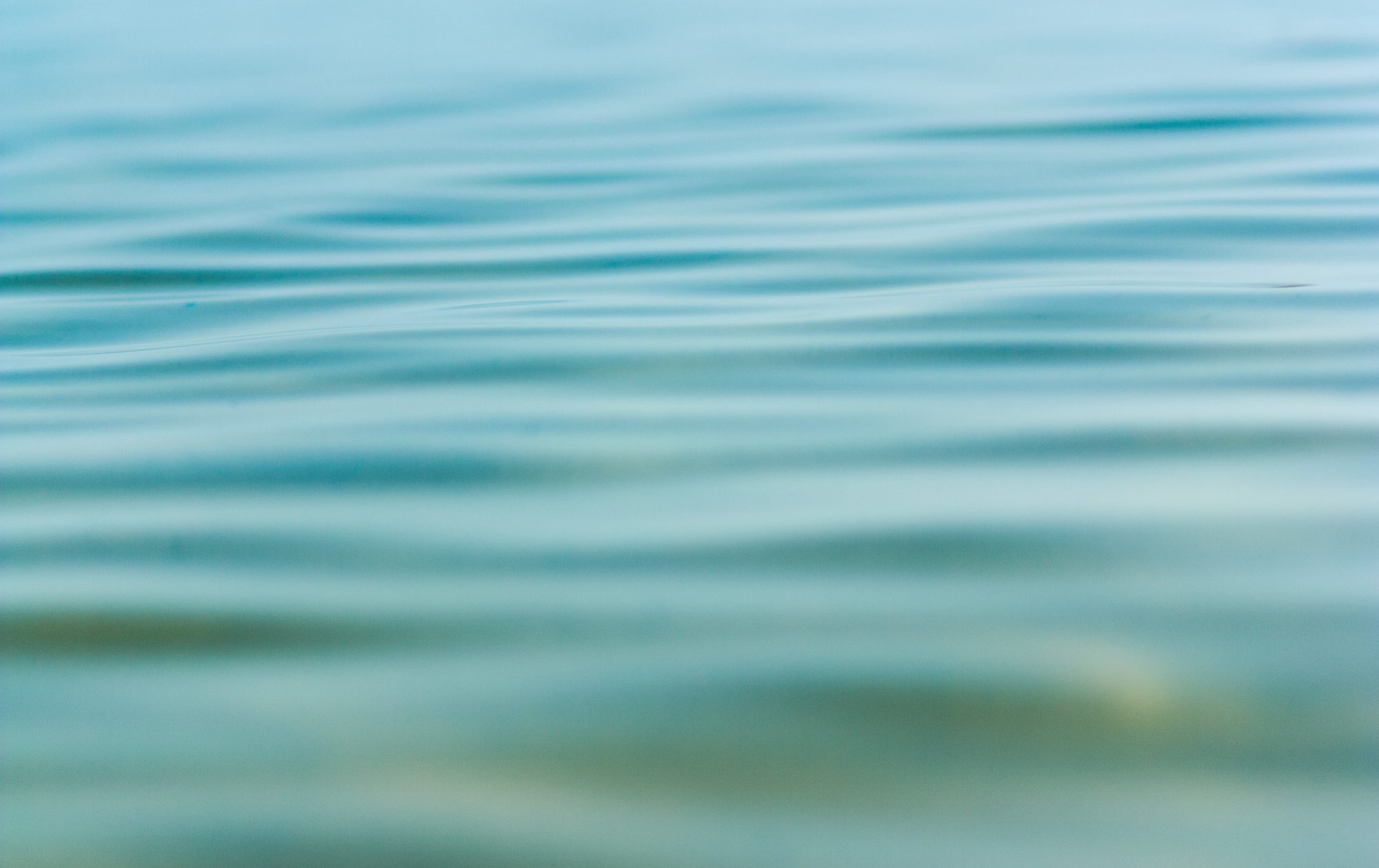 Envision wellness coaching